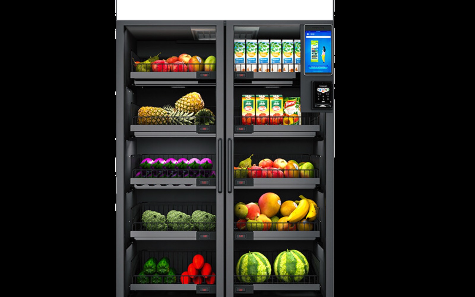 Fresh Food Fridge Financing Fresh Food Fridge Financing