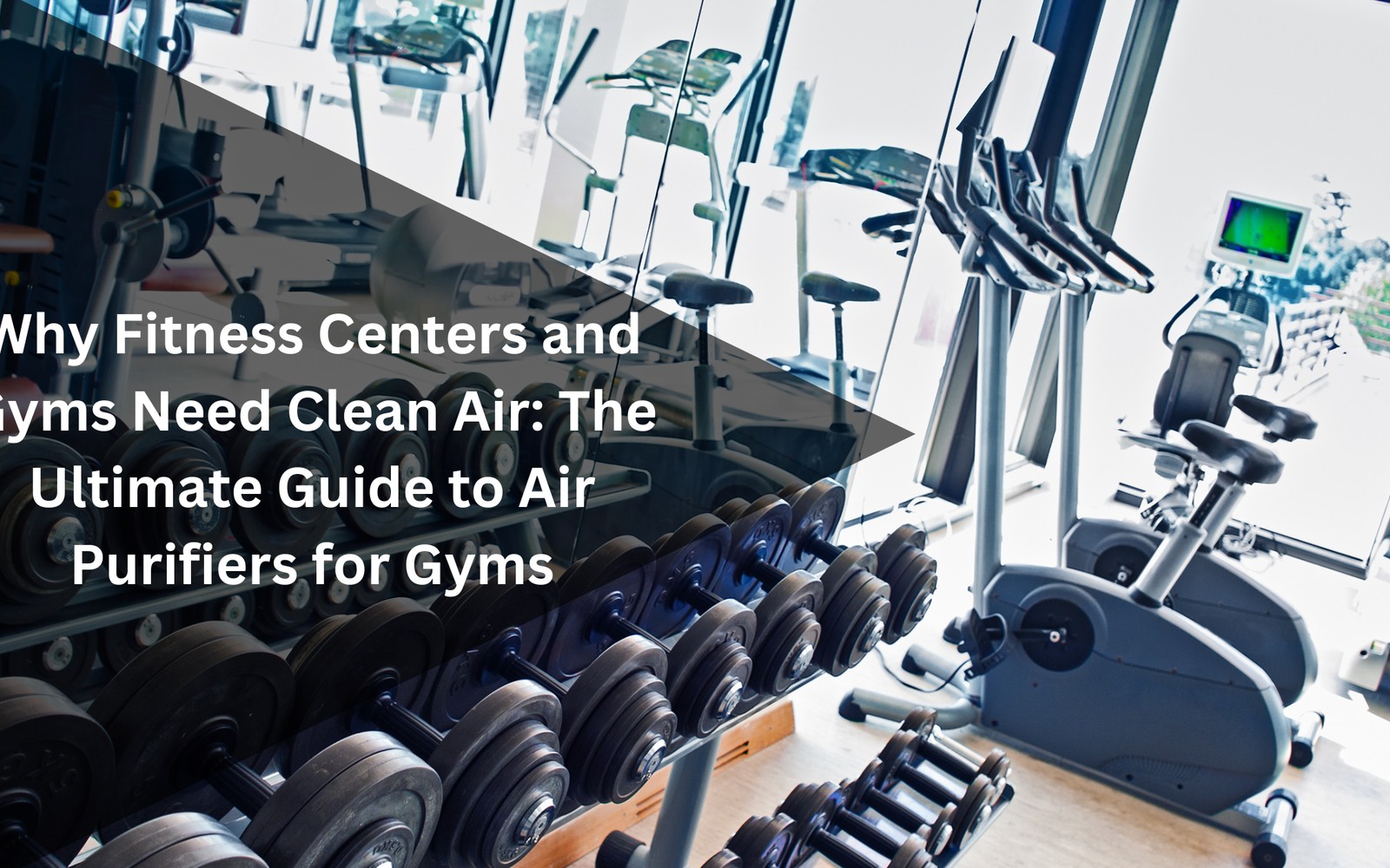 Gyms and Fitness Centers