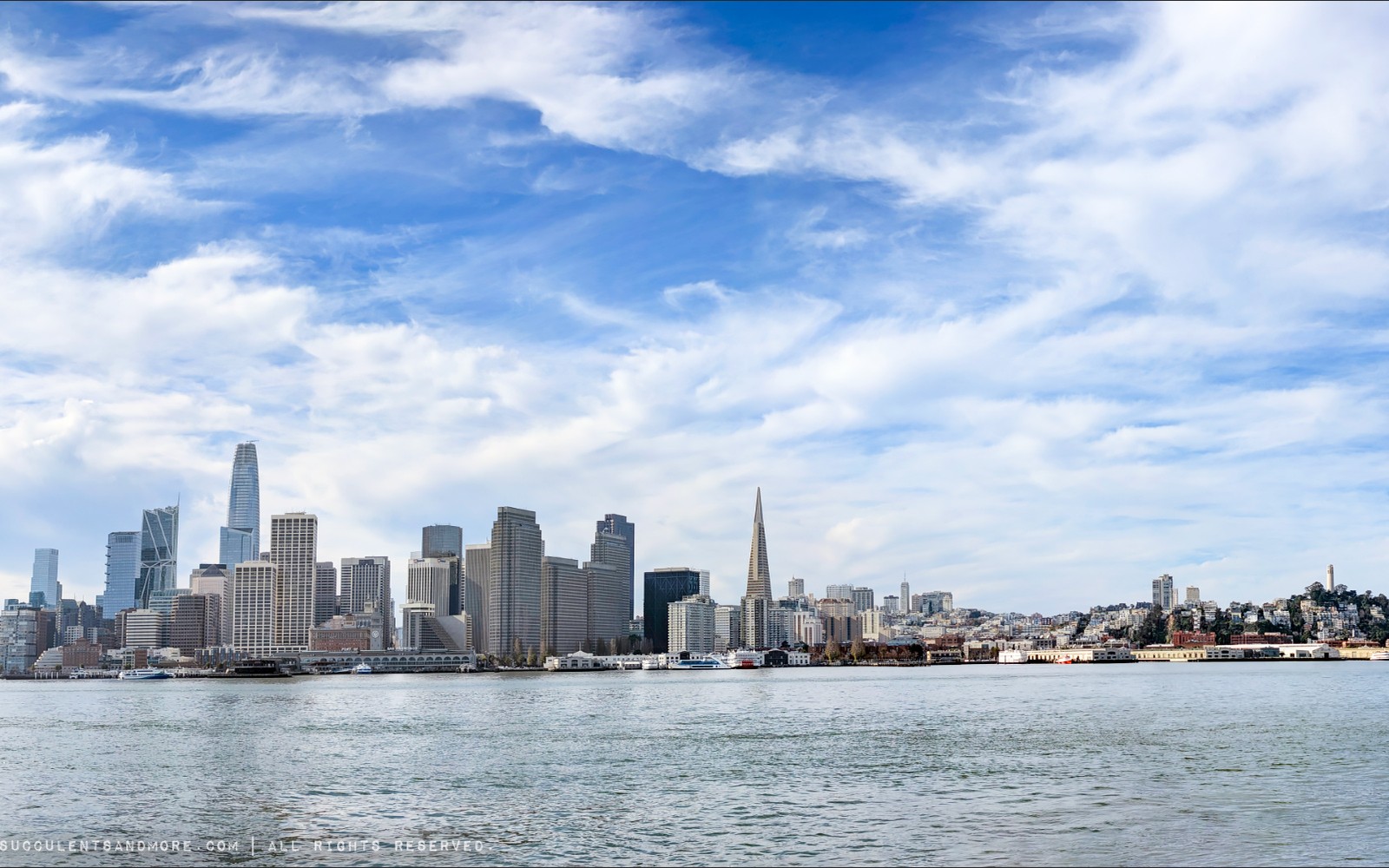 Vending Machine Financing in San Francisco, CA